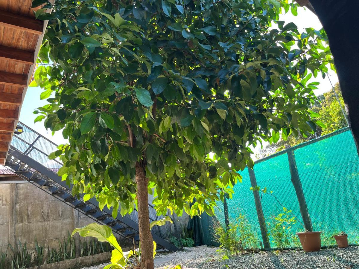 Apartamento Mango Y Cafe Lagunilla  Dış mekan fotoğraf